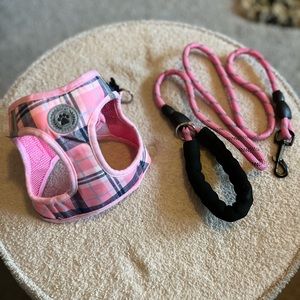 Medium Dog Harness and Leash Set